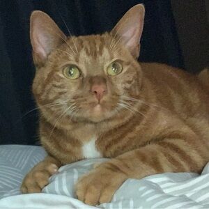 Meet your Posher, Anthony